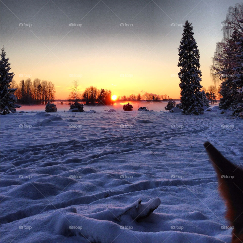 Took this on the back of my horse, beautiful evening!