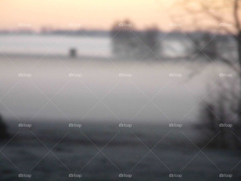 Bodennebel auf einer Wiese