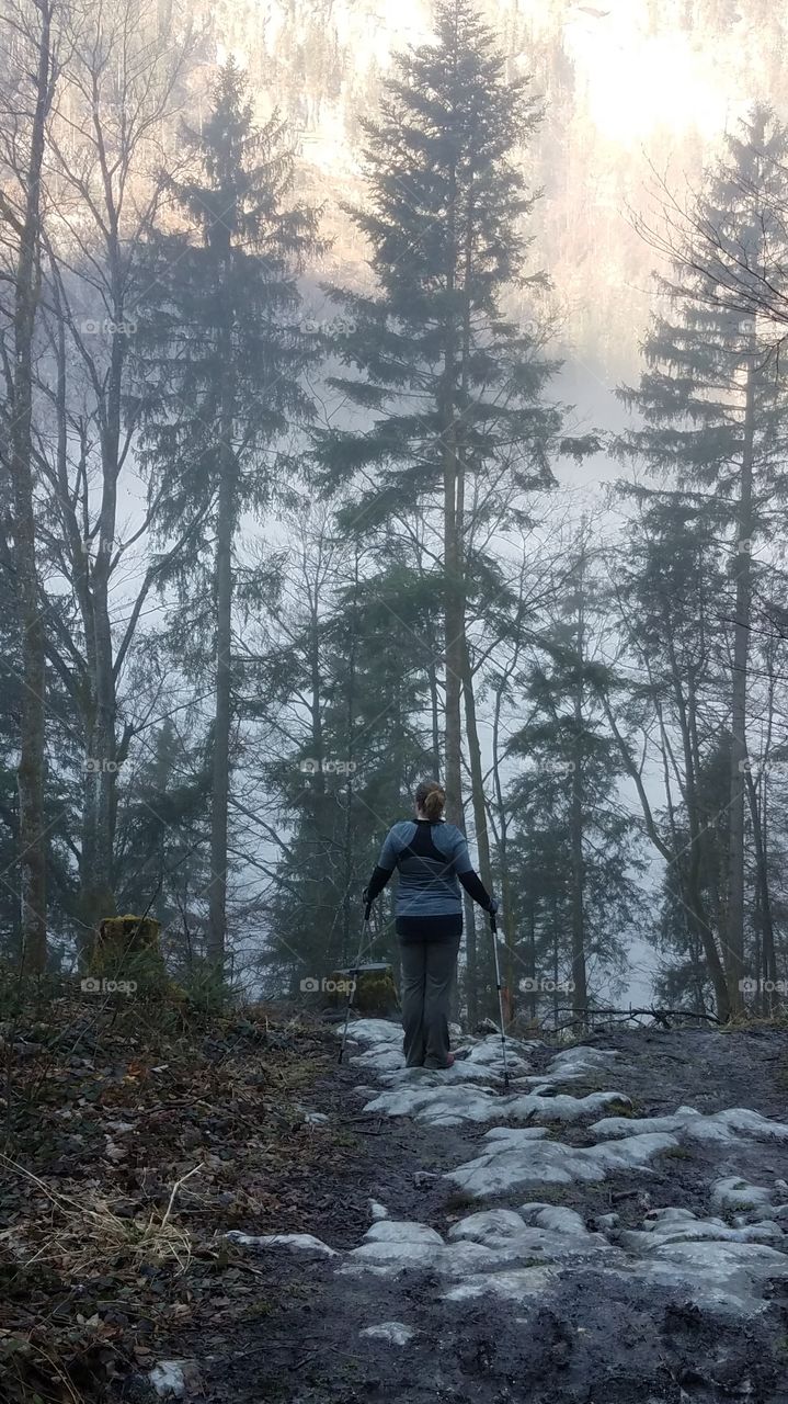 A lone hiker stands with hiking poles at the edge of a cliff, facing away from the camera to take in the misty forest view. 