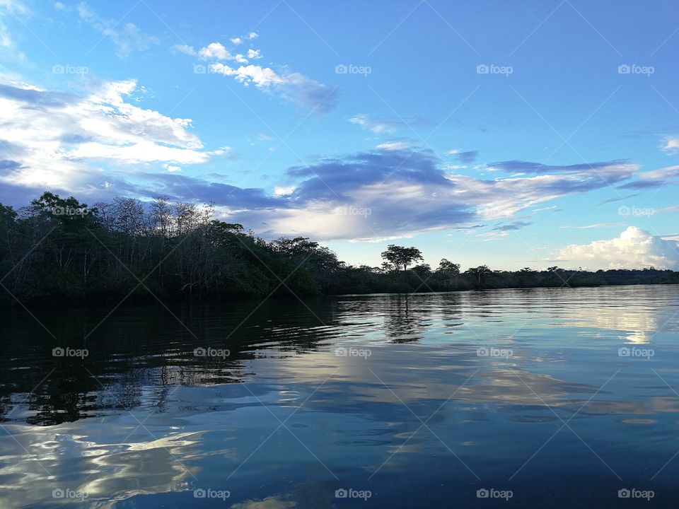 Lagoon in the Amazon