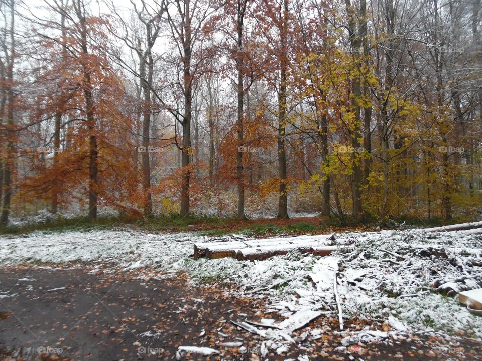 Parc de Mariemont , la louviere