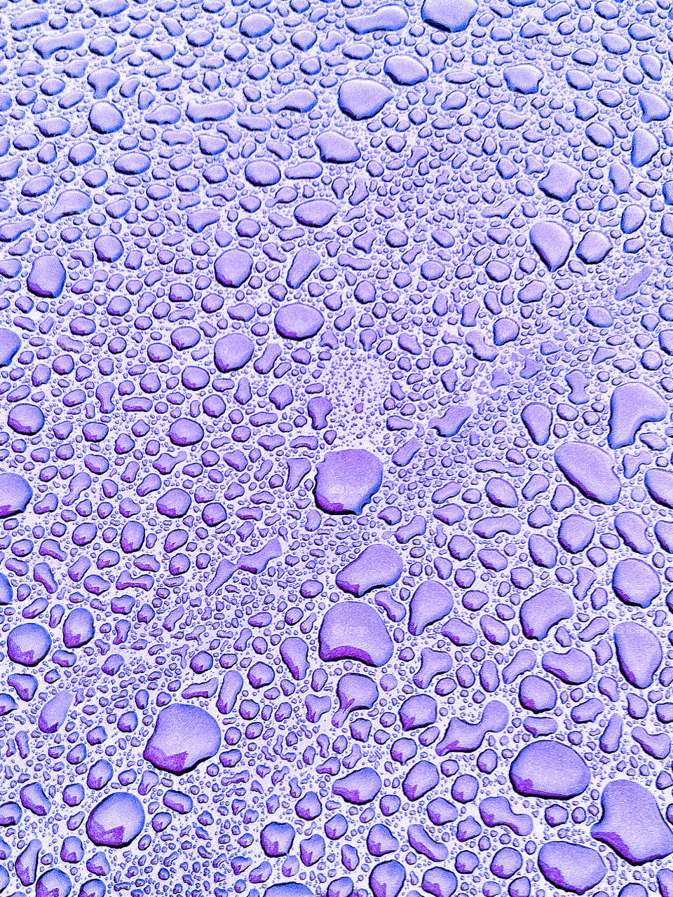 Purple water drops