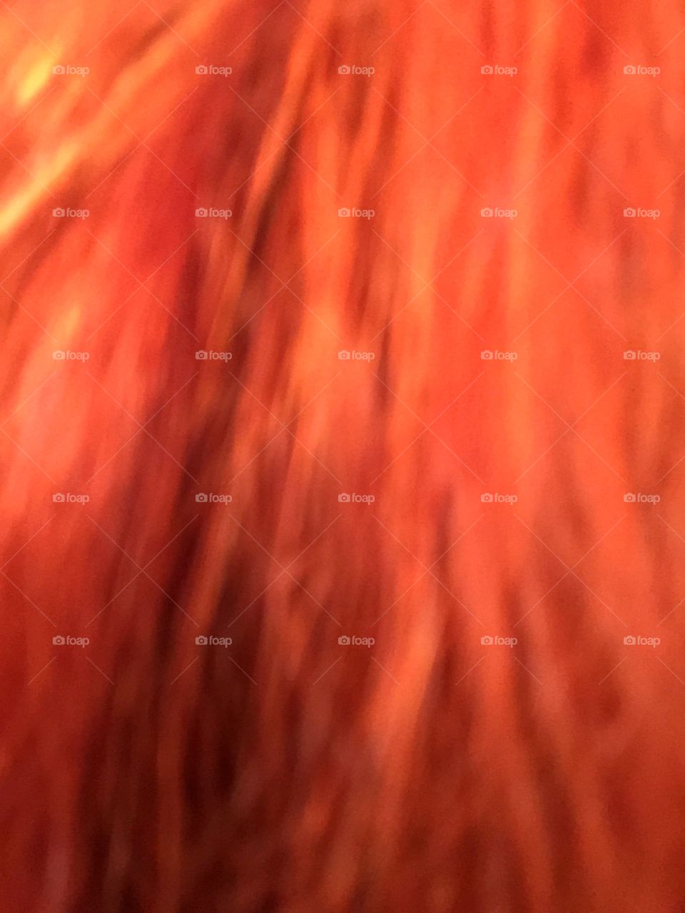 Close-Up, DarkRoots, Ruby Red, Rockin’ Red, Rich Red, From Blonde to Red, Red Rich Roots, Shadows, Contrast, Artsy, Shades, Darker in Shadows, Studio Light, Art, Color Wheel, Blurriness to add Contrast, creativity, see the lighter auburn blonde