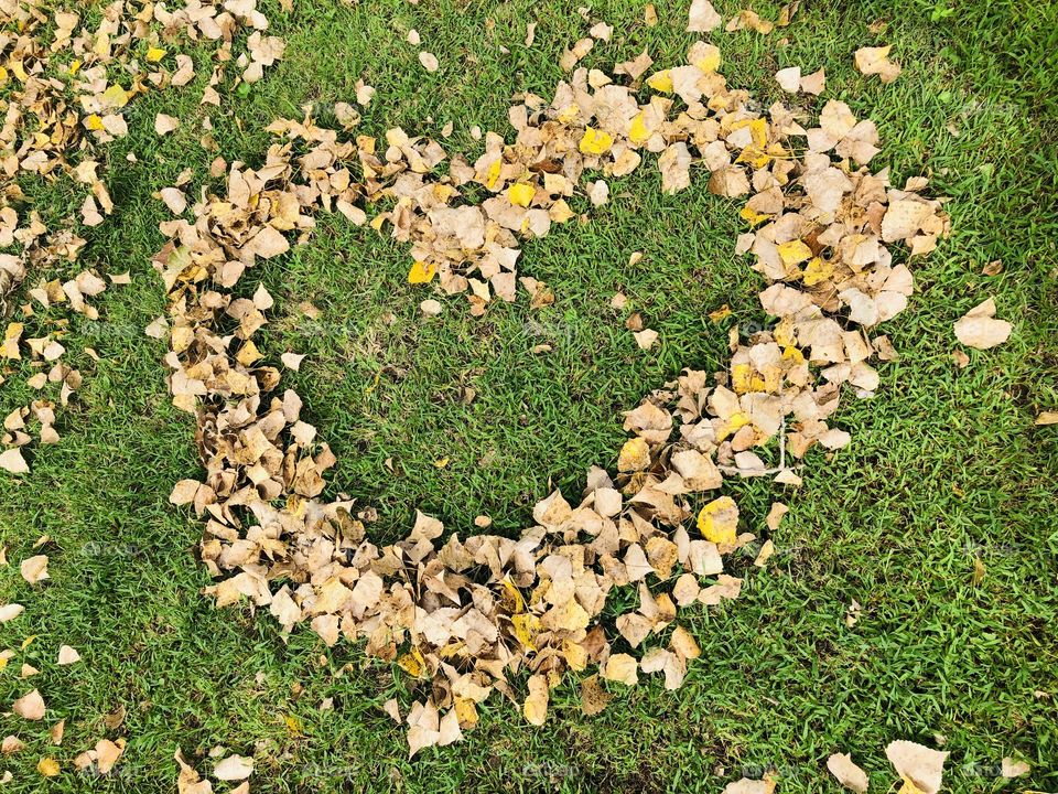 this leaf pile has heart