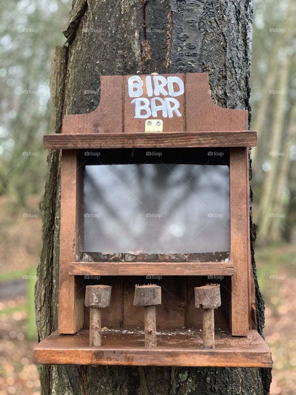 Bird bar 