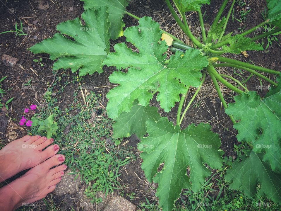 Feet in the garden