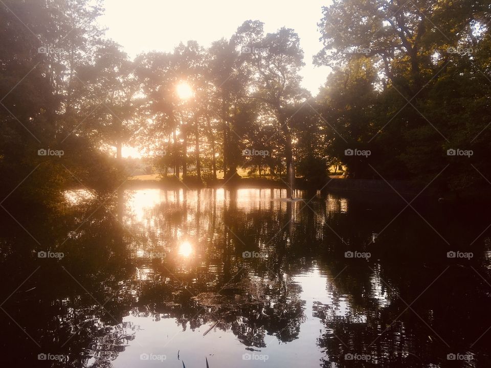 Sun and trees reflected in lake at Coworth Park Hotel, near Ascot, Berkshire 