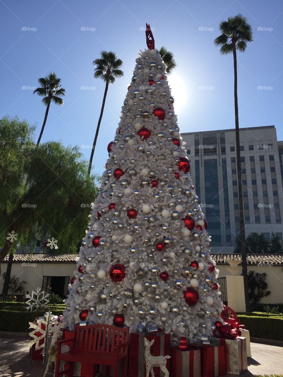 Christmas in Los Angeles 
