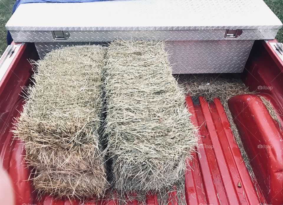 Rectangles everywhere! A rectangle toolbox, two rectangle bales of hay sitting in the rectangle bed of a pickup truck in the woods of South Georgia. 