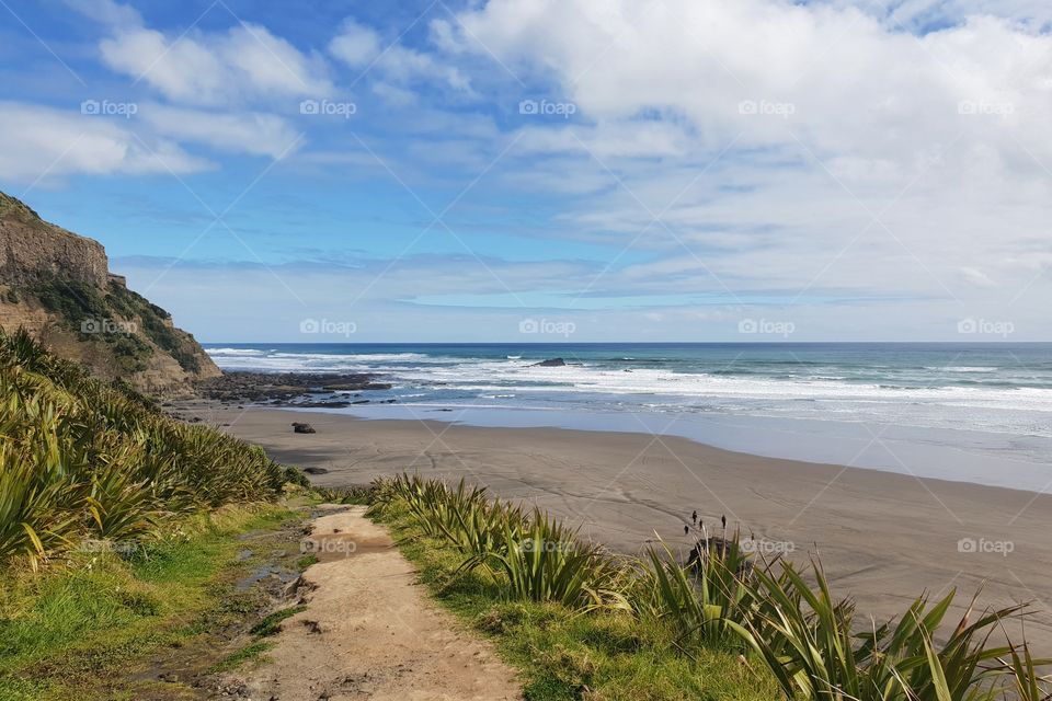 muriwai beach, auckland, new zealand