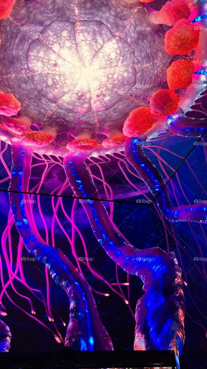 “Wake up”- Green peace’s message of fragility of our oceans 