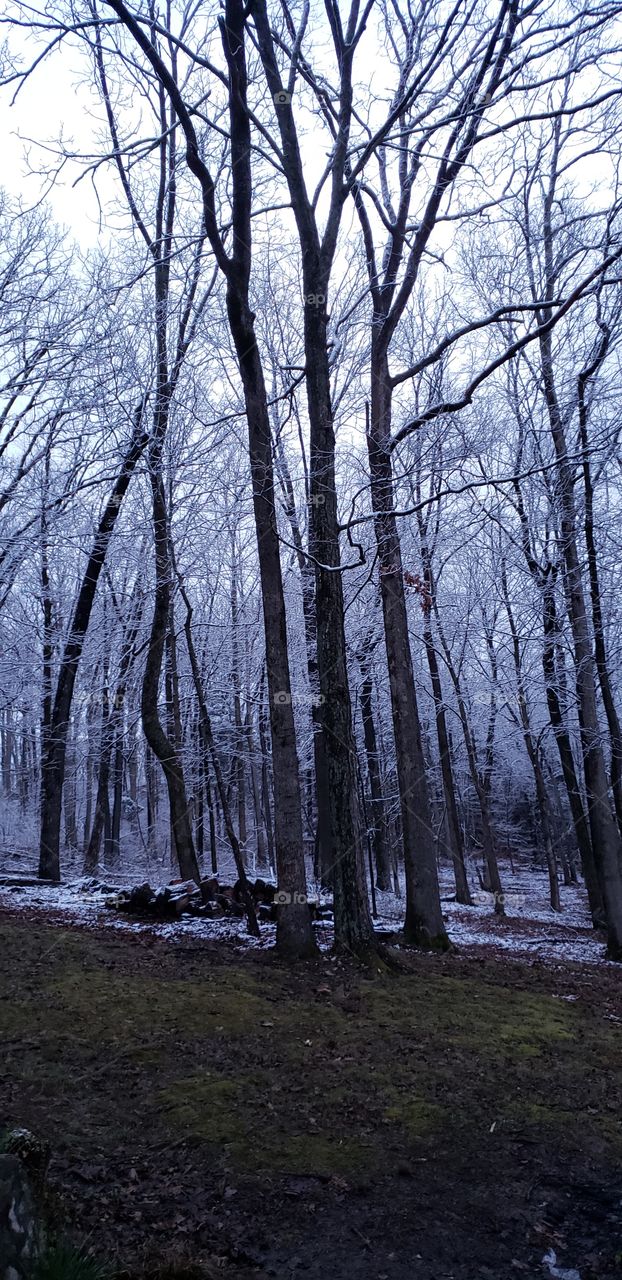 A snowy day