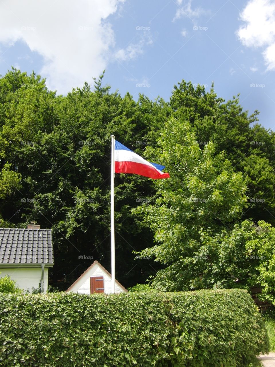 Schleswig-Holstein flag