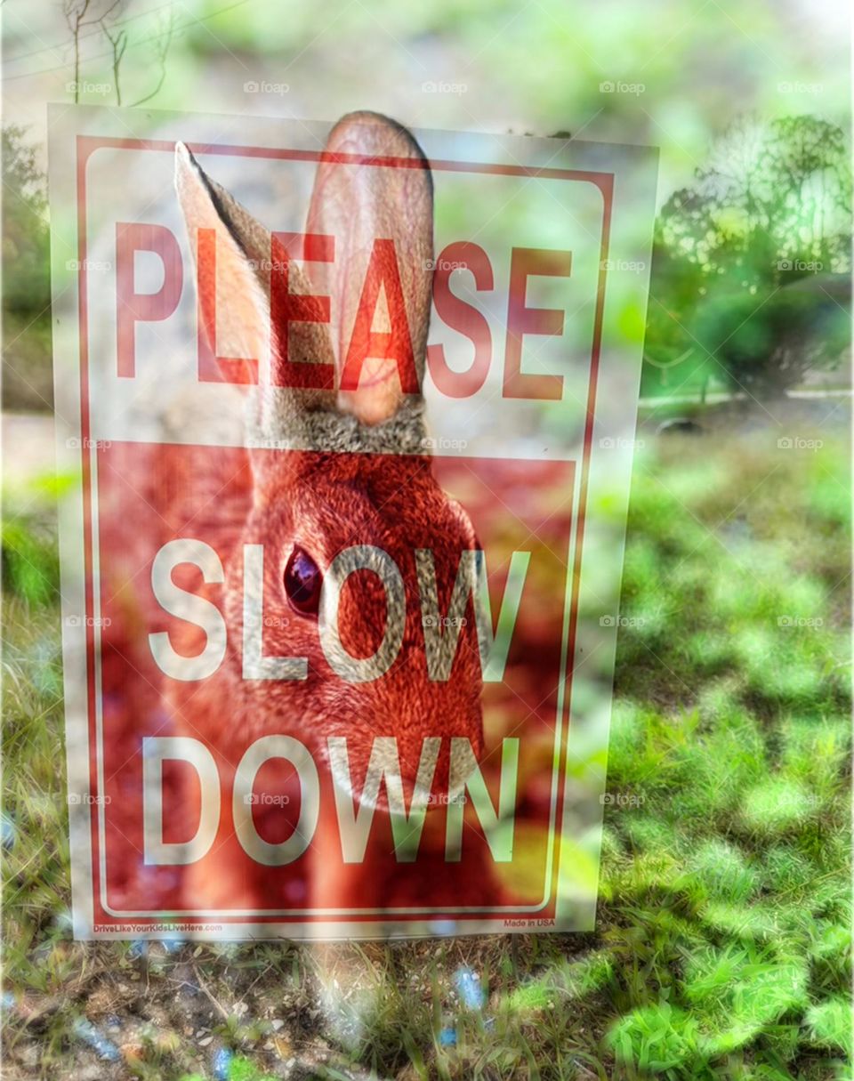 Binky the bunny says “ Please Slow Down “.   