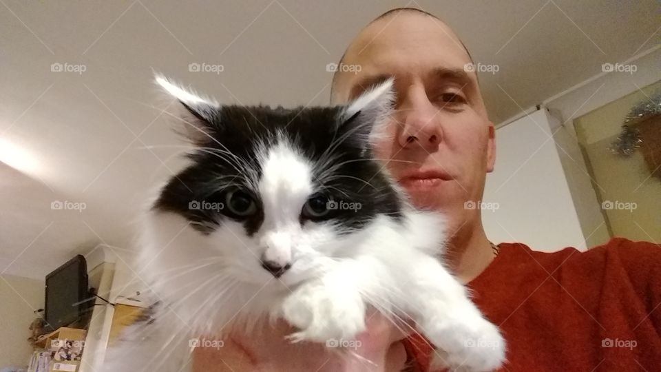 White and black cat selfie