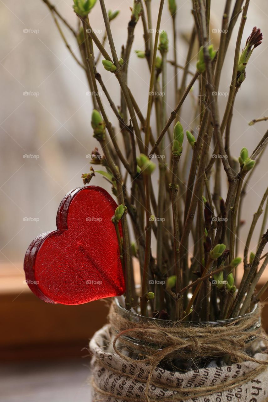 Spring branches with red heart lollipop 