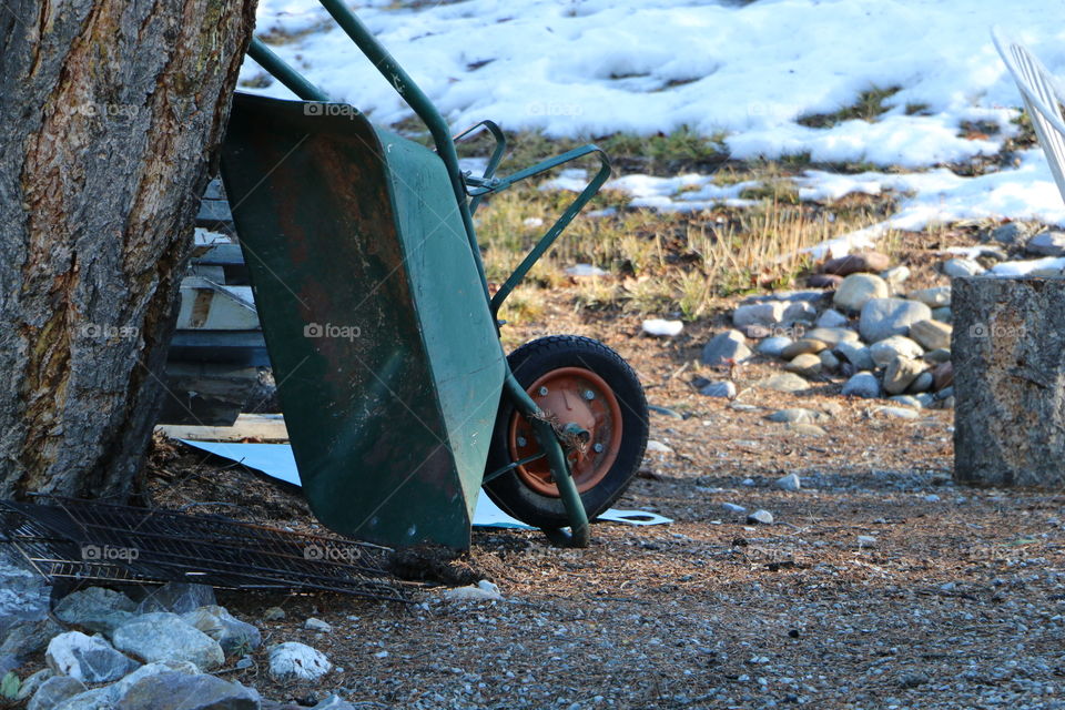 wheel barrow leaning against a tree in Invermere during the winter
