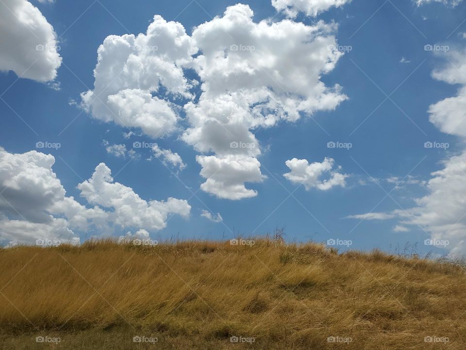 Wild dry grass hill on a partly cloudy day