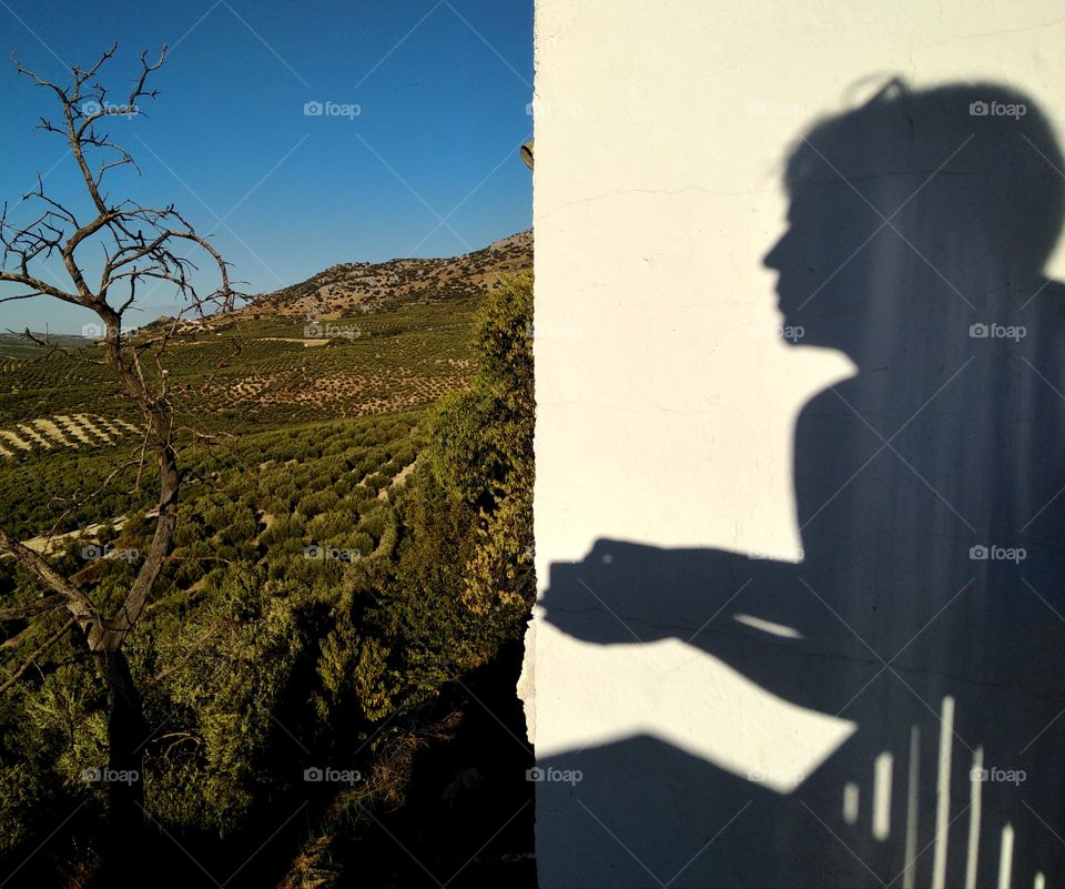 world of Silhouettes and shadows