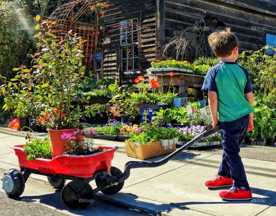 Young Boy At A Garden Shop