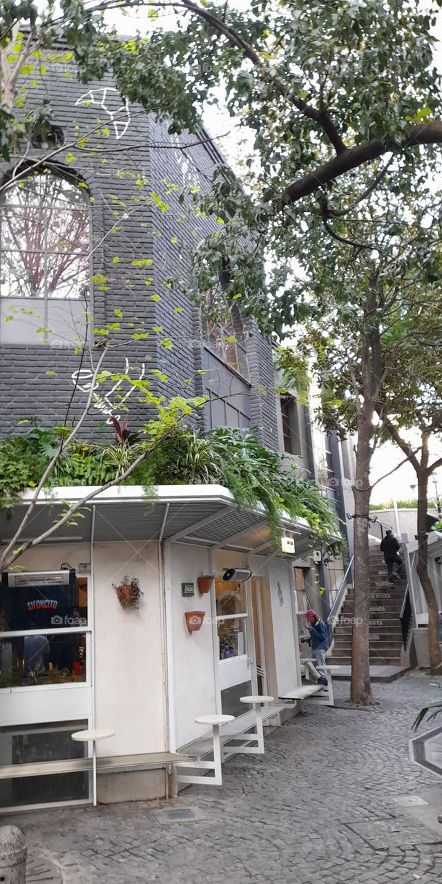 Espacios verdes en la ciudad