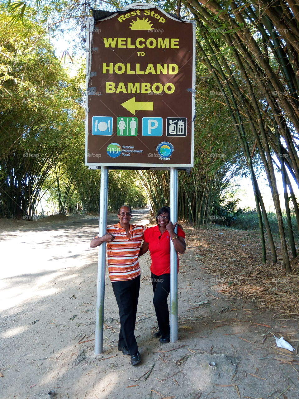 Holland Bamoo Jamaica