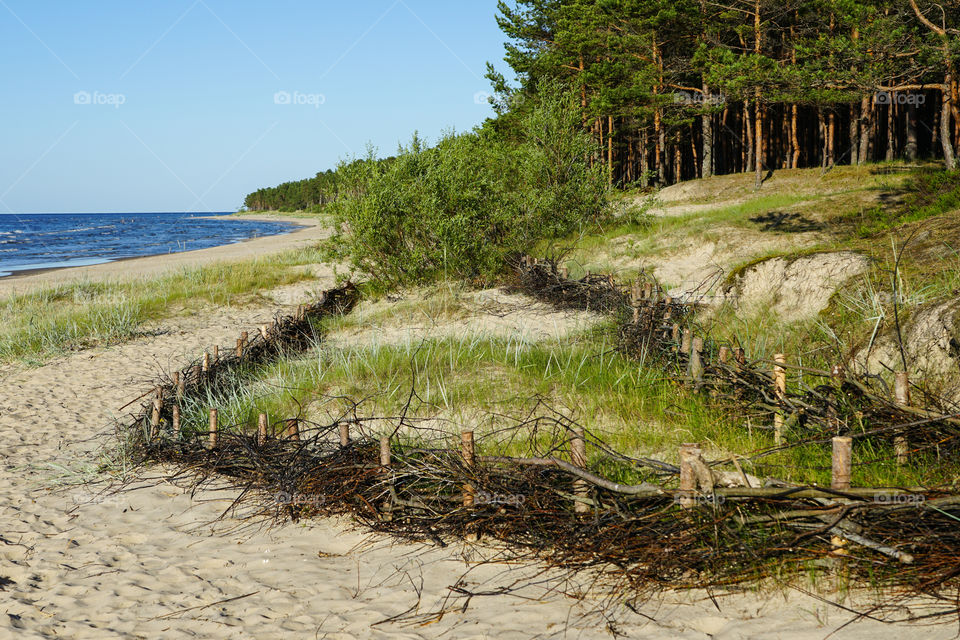 wicker fences on the beach for the detention of sand movement and the reduction of man made effects