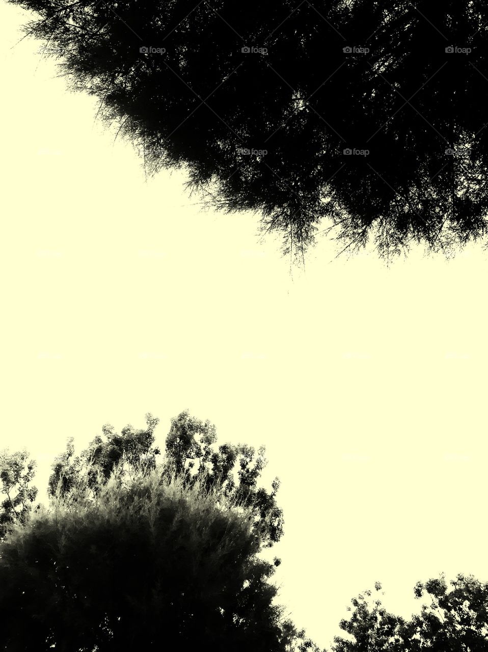 trees