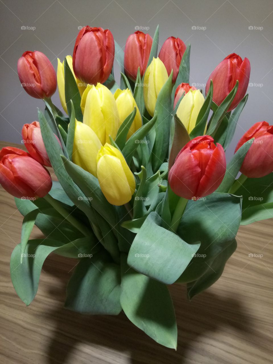 Flowers, tulip