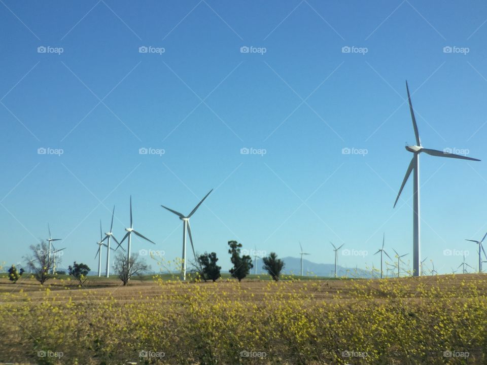 Windmills