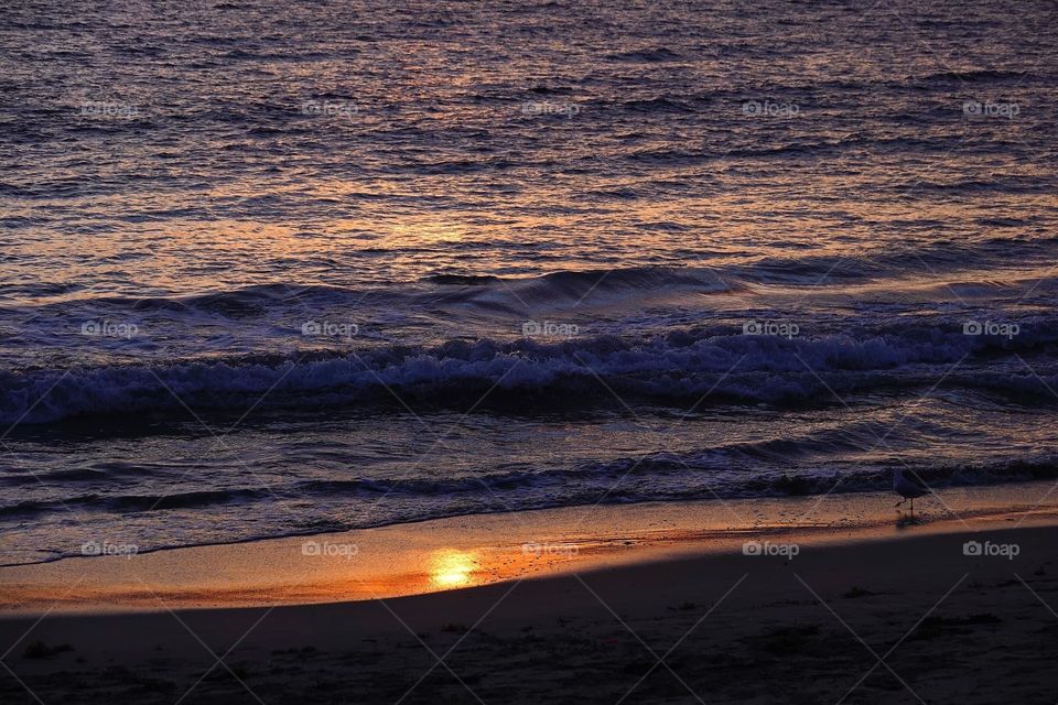 Fremantle, Australian 