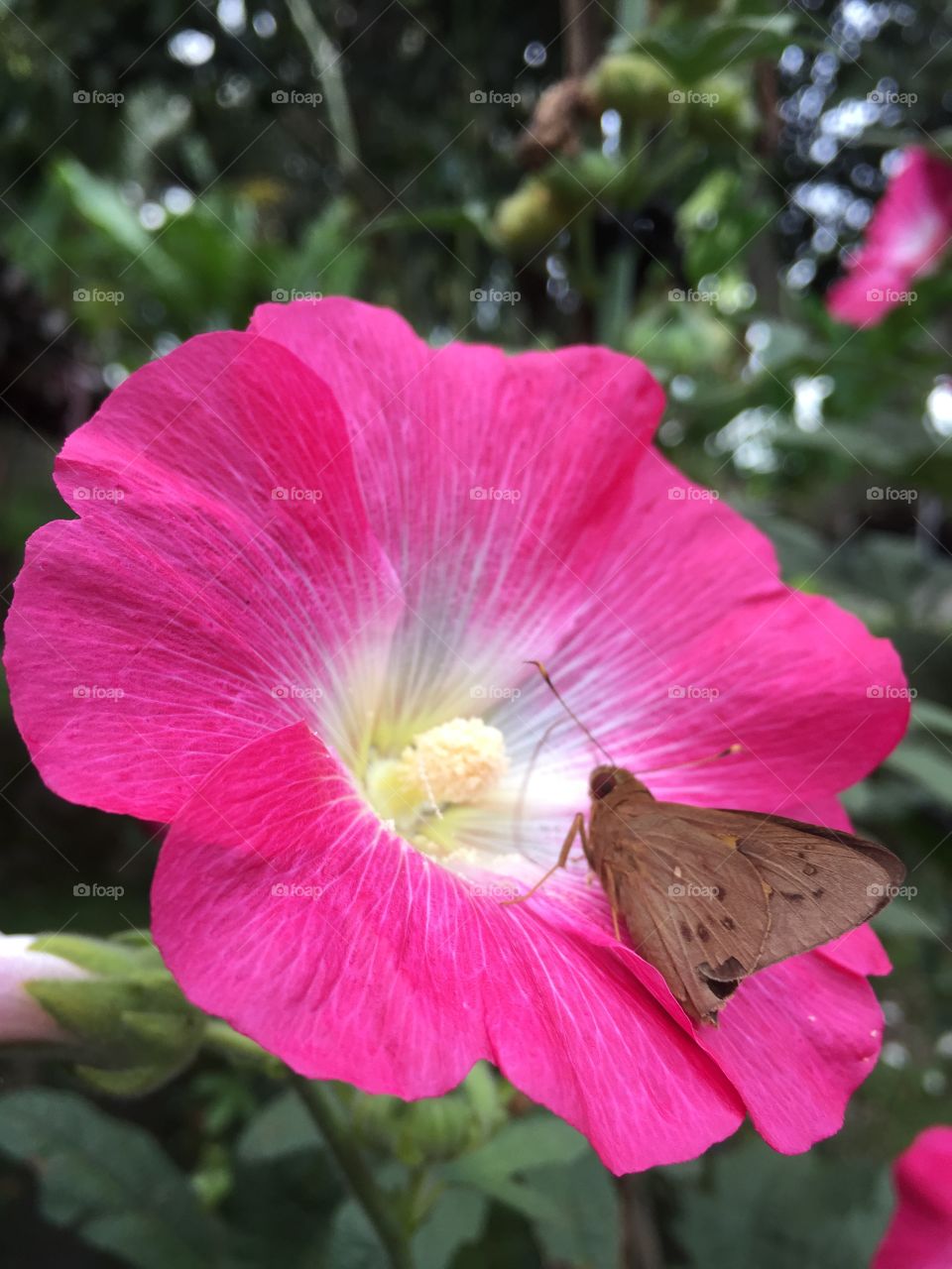 First signs of spring in your neighborhood