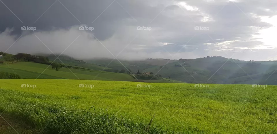 green