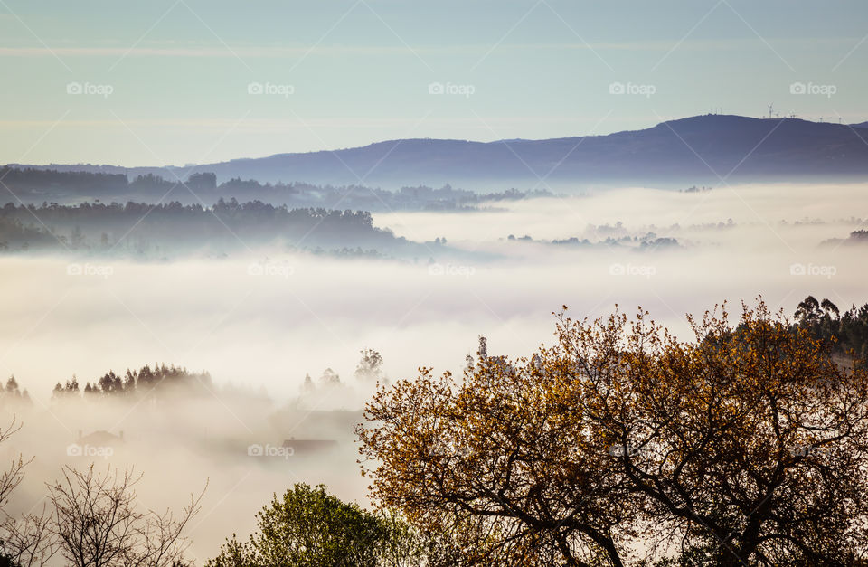 Morning fog in Galicia