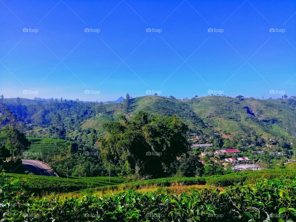 Blue green mixer place