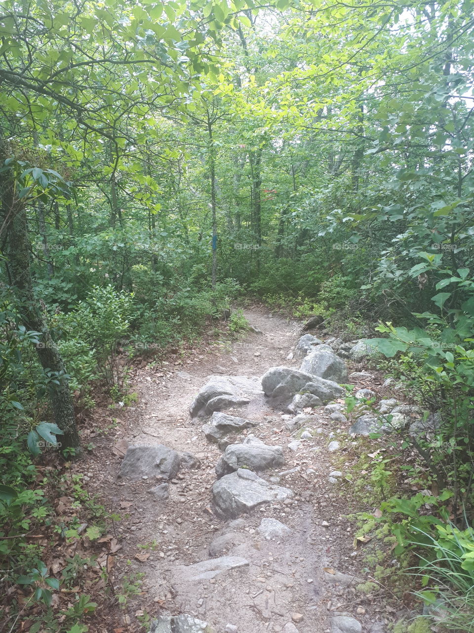 mountain path