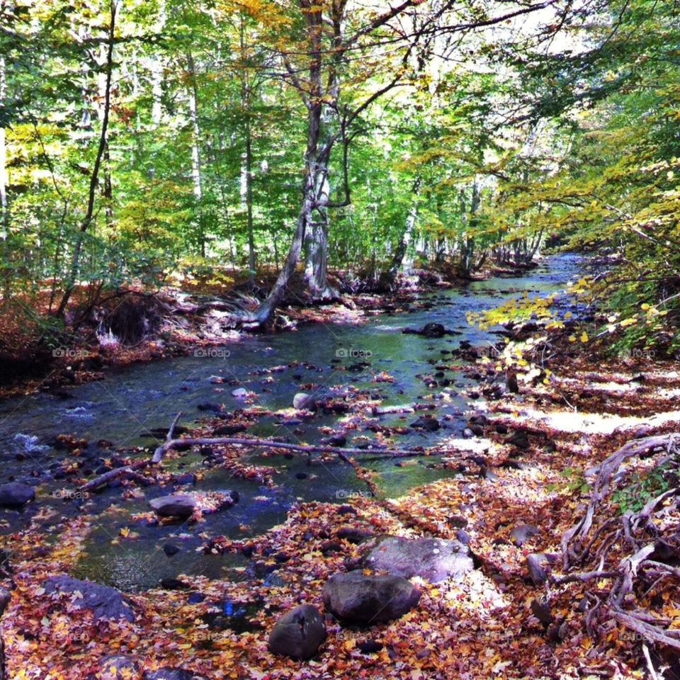 Lake Mohegan, CT