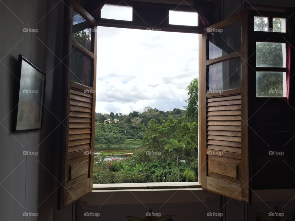 Trees seen through house window