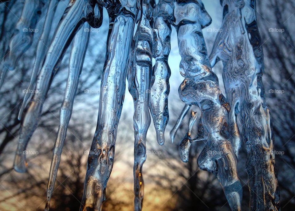 Frozen March Morning