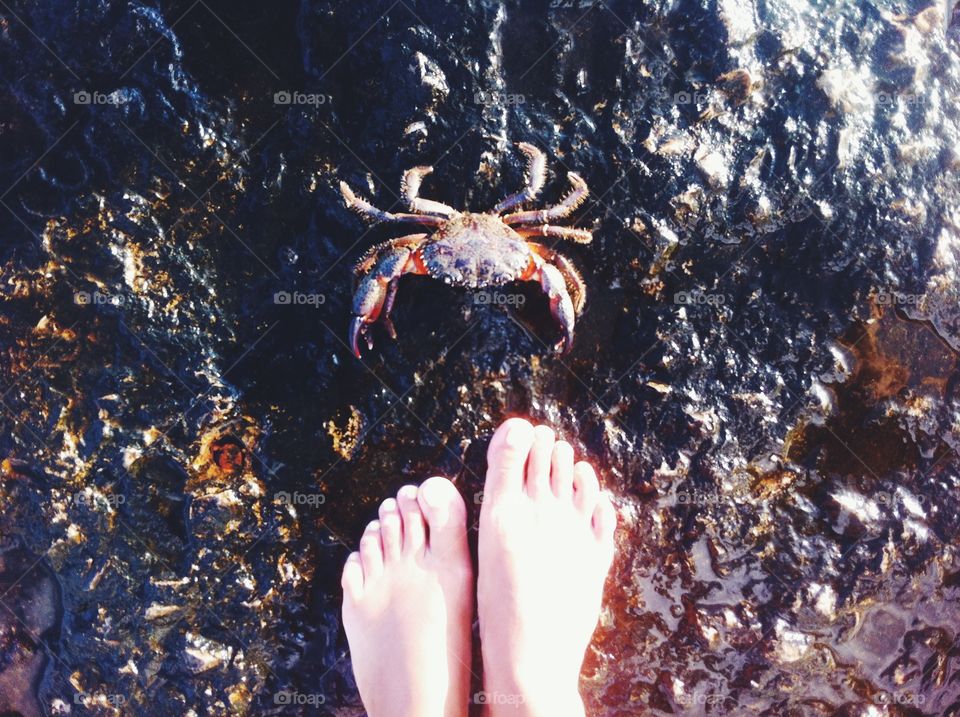 Foot with little alien crab