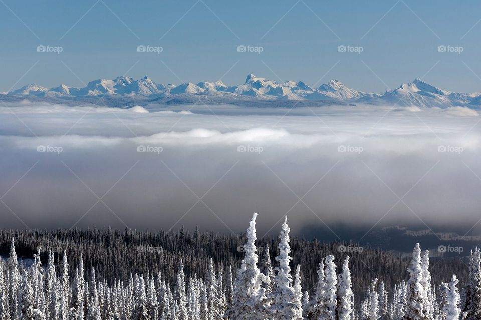 The Monashees mountains 