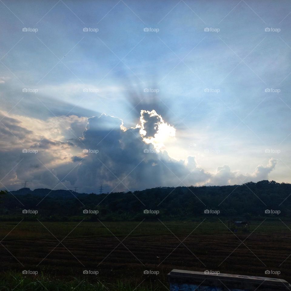 Afternoon in the fields when the sun is covered by clouds