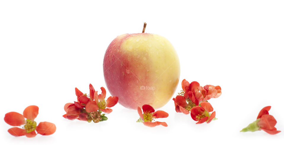Apple, No Person, Fruit, Health, Leaf