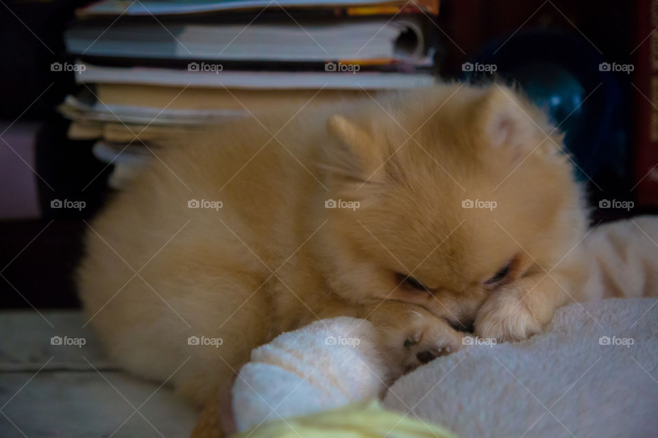 Sleepy 