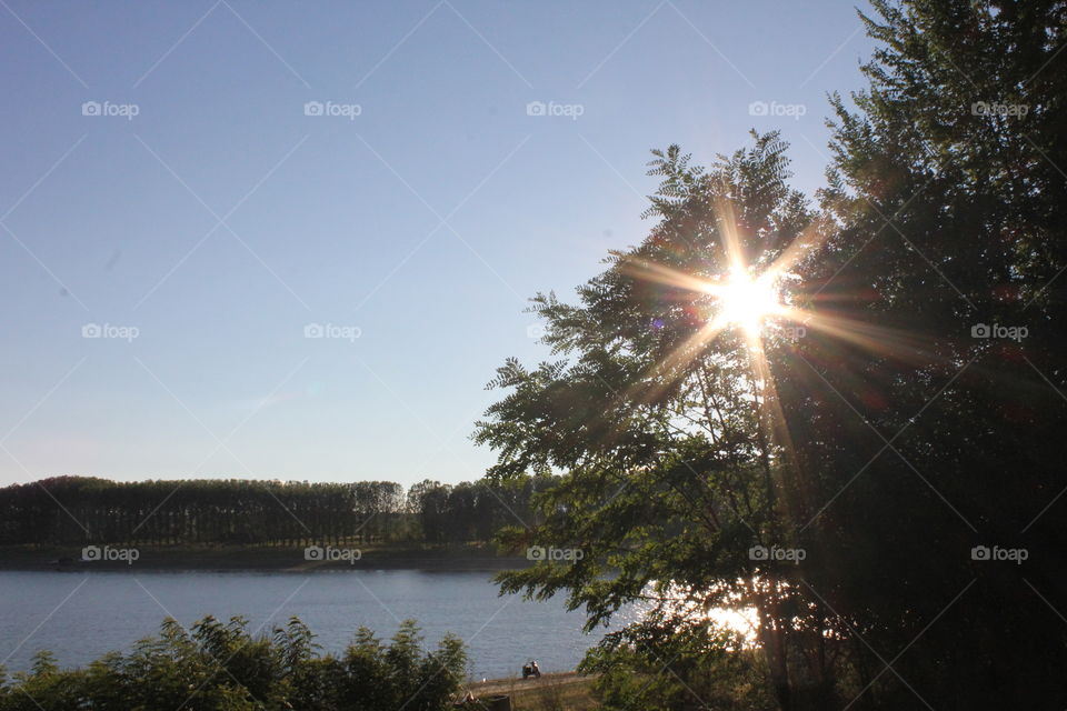 Surprise from the sky!