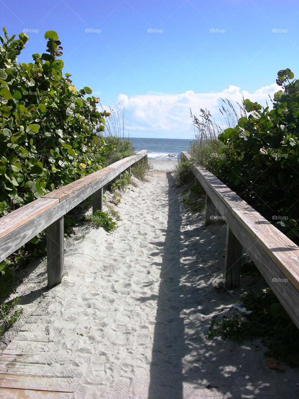 Florida coast 