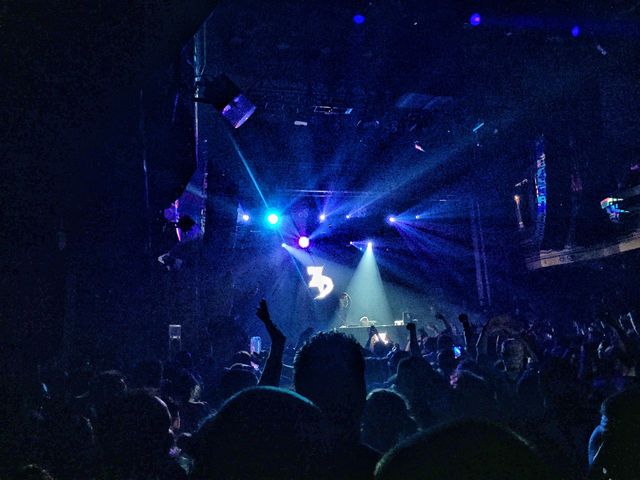 Zeds dead 