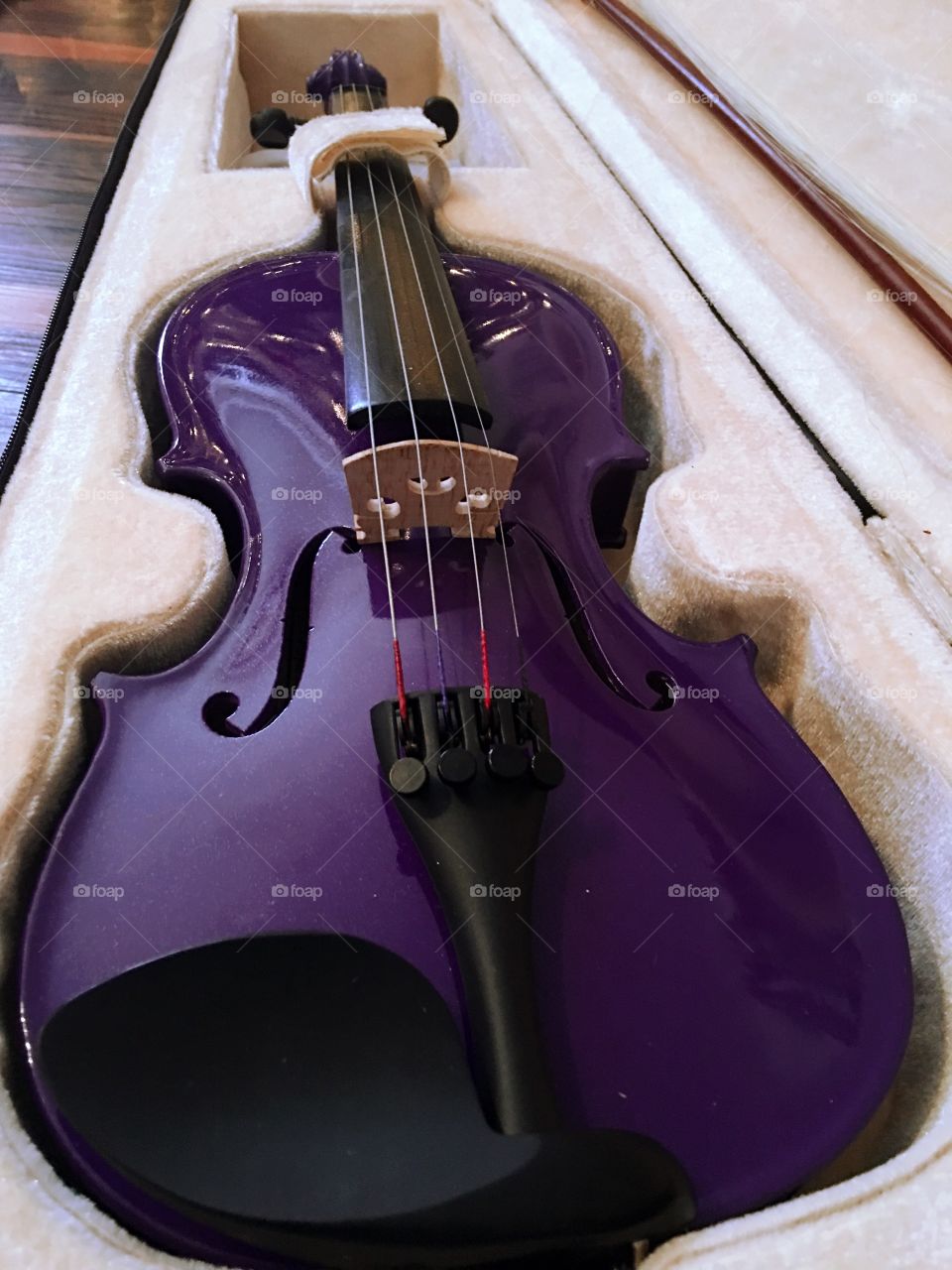 Purple violin