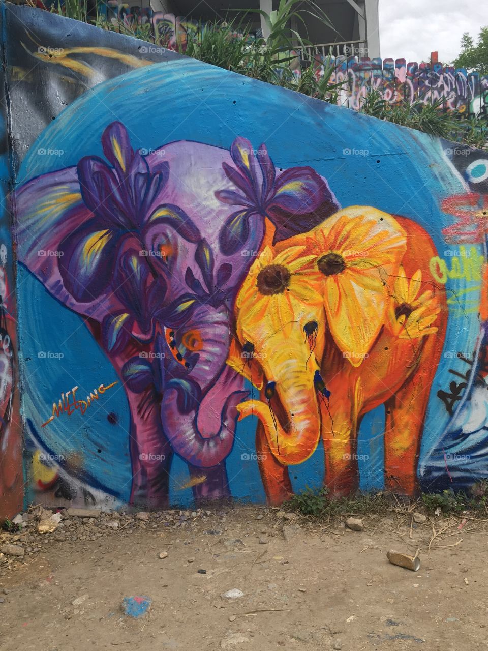Elephant graffiti in Austin, TX