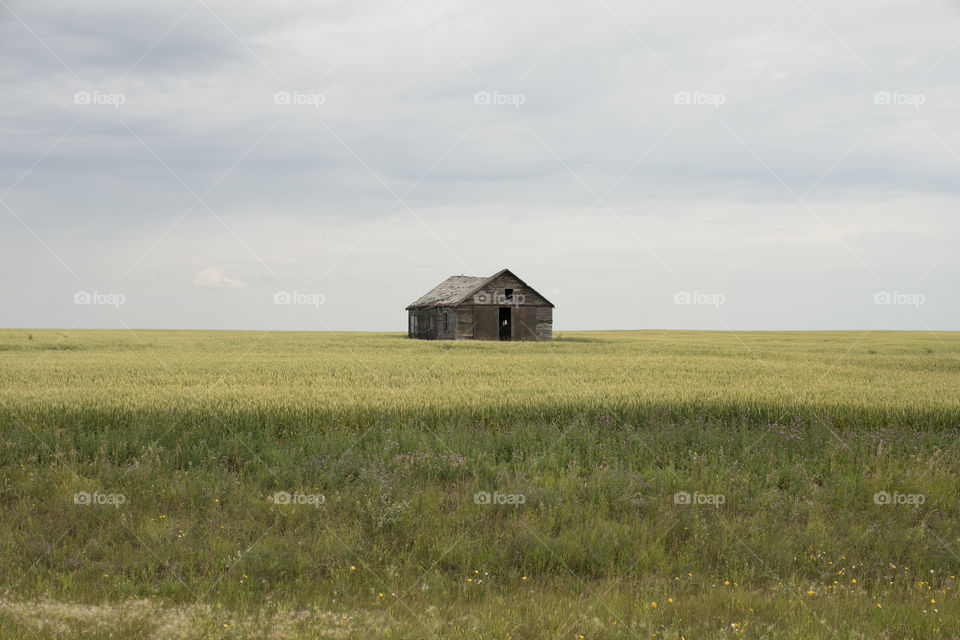 Little House on the Prairie